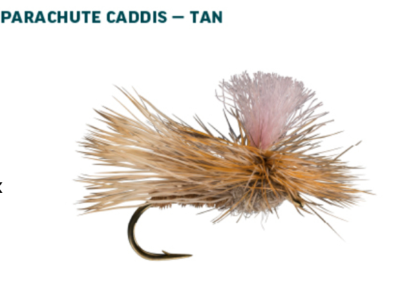 RIO Dry Fly Assortment Caddis Tan RIO Dry Fly Assortment Caddis Tan